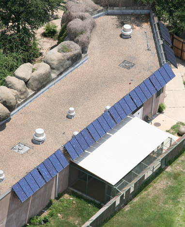 Houston Zoo Solar Panels