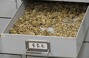 Chinese herbs drawer open