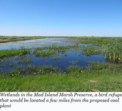 Wetlands in the Mad Island Marsh Preserve, a bird refuge that would be located a few miles from the proposed coal plant