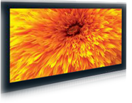widescreen tv screen flower