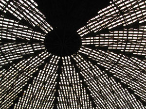 Astrodome roof 