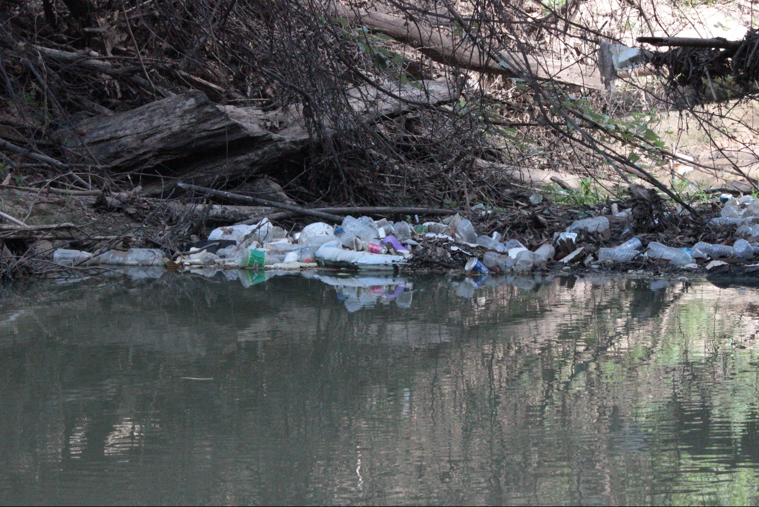 Photo of Trash along shore of Buffalo Bayou