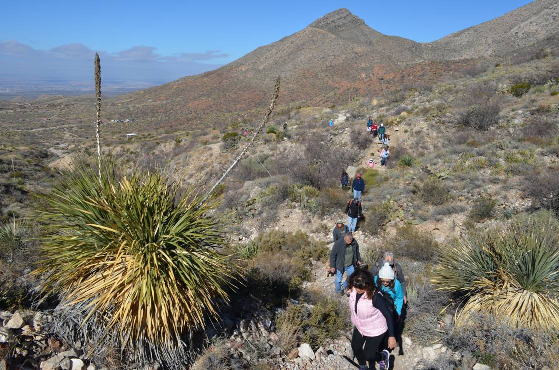 Picture of hikers in the Franklin Mountains