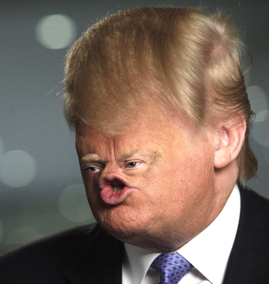 Picture of digitally distorted Donald Trump