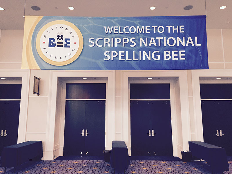 entrance of spelling bee
