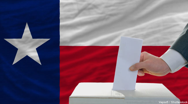 Image result for texas vote images