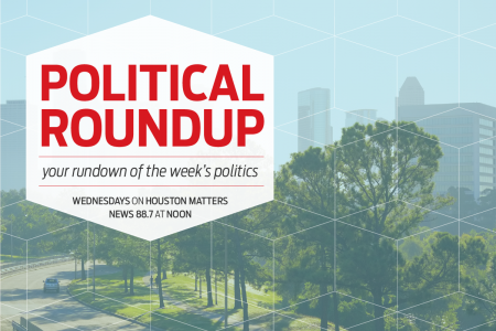 Political Roundup Web Banner 1