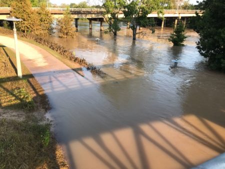 Images from Buffalo Bayou Park, between Allen Parkway and Memorial Parkway, near downtown Houston. (Don Geraci, Houston Public Media)