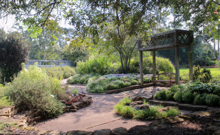 Mercer Botanic Gardens Slowly Rebuilding After Harvey Devastation