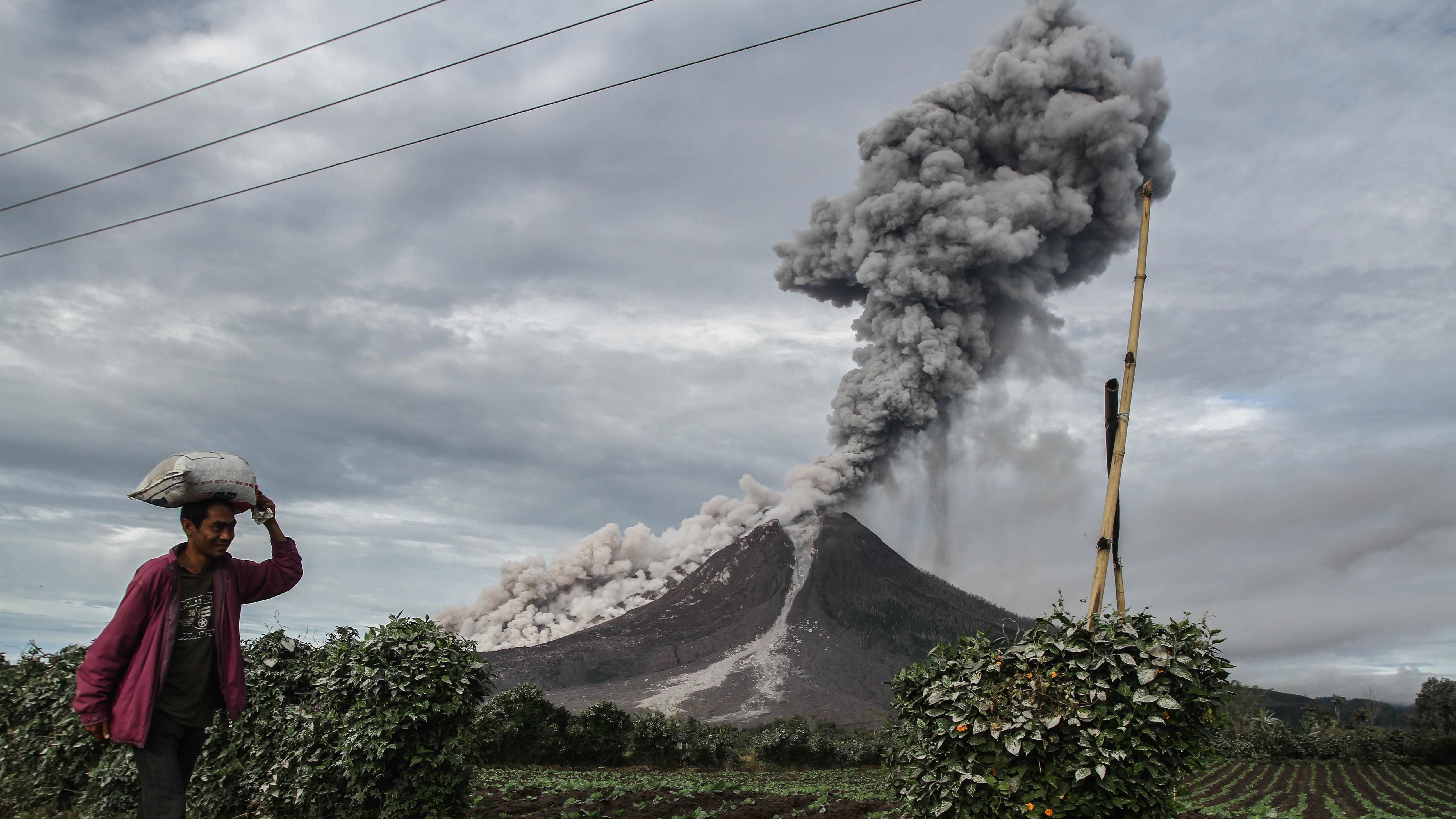 An Indonesian farmer passes a field as Mount Sinabung volcano spews thick smoke into the air in Karo, North Sumatra earlier this month. The volcano roared back to life in 2010 for the first time in 400 years, after another period of inactivity it erupted once more in 2013, and has remained highly active since.
