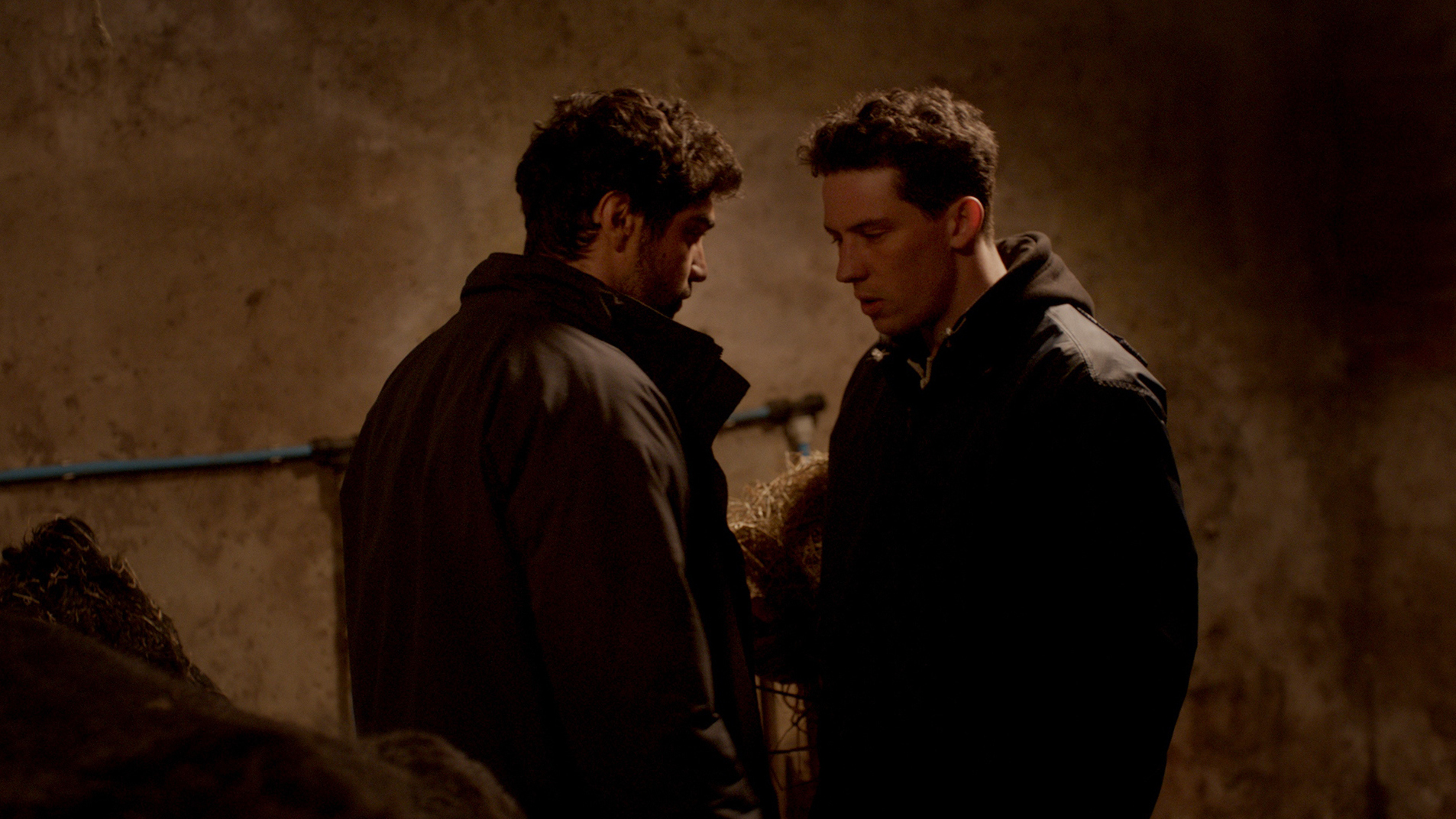 In God's Own Country, two ranch hands (Alec Secareanu and Josh O'Connor) find love on a Yorkshire sheep farm.