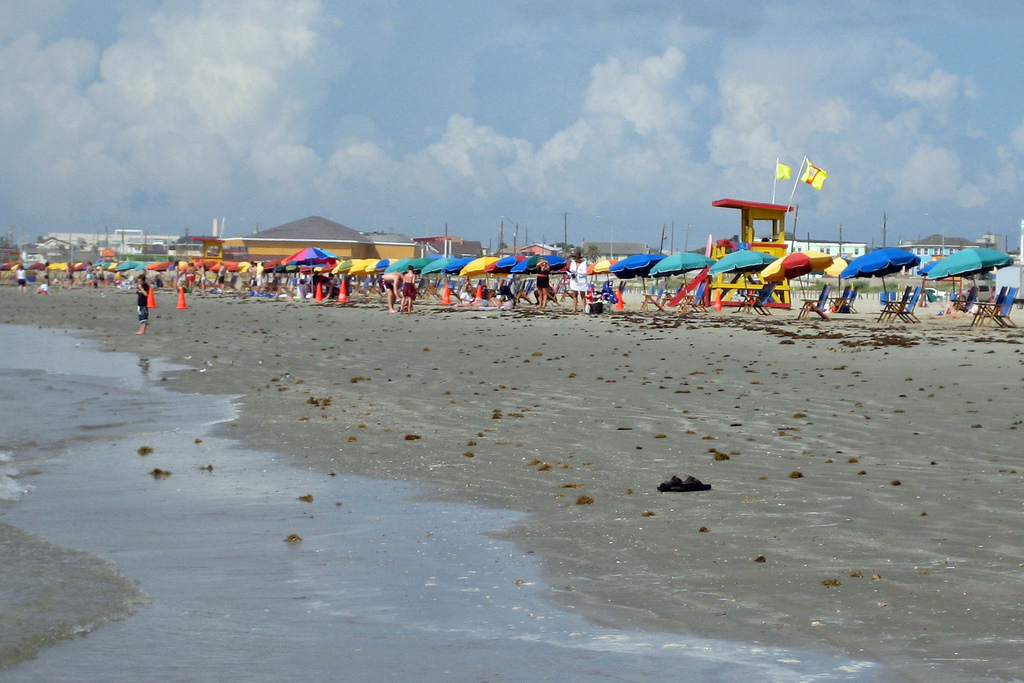 Update How To Check The Levels Of Fecal Bacteria At Texas Beaches
