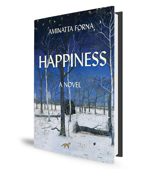Happiness Book Cover