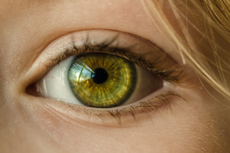 Eye Doctor Closeup - Pexels