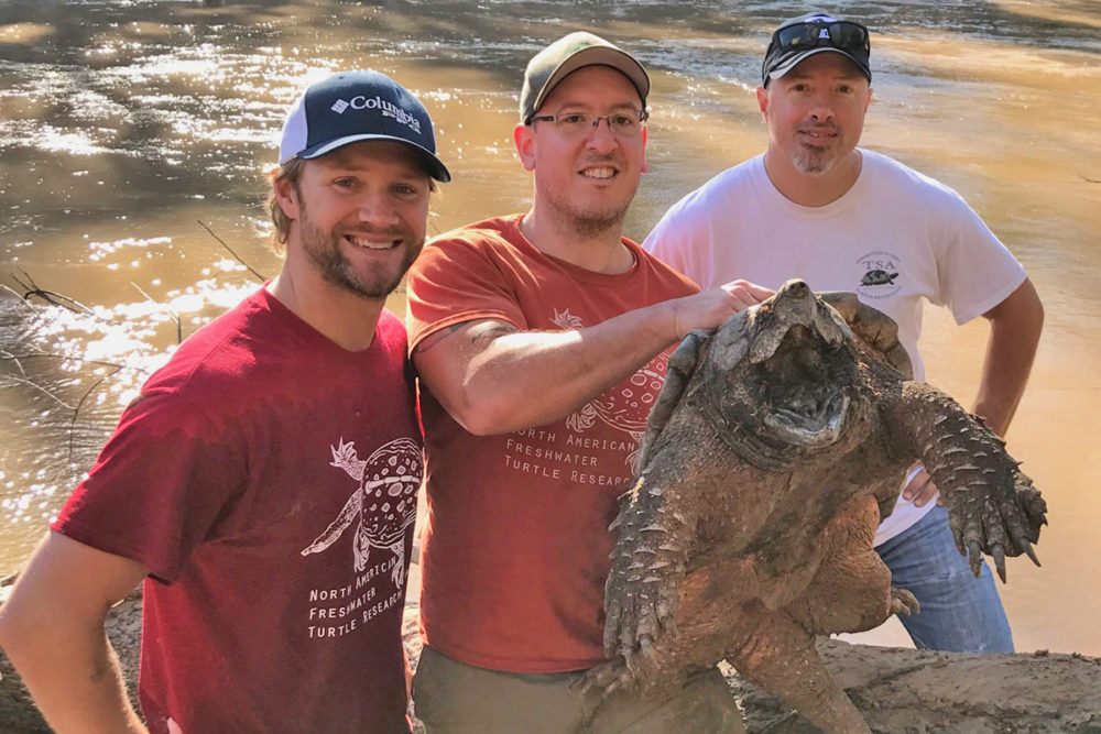 Alligator Snapping Turtle Researchers