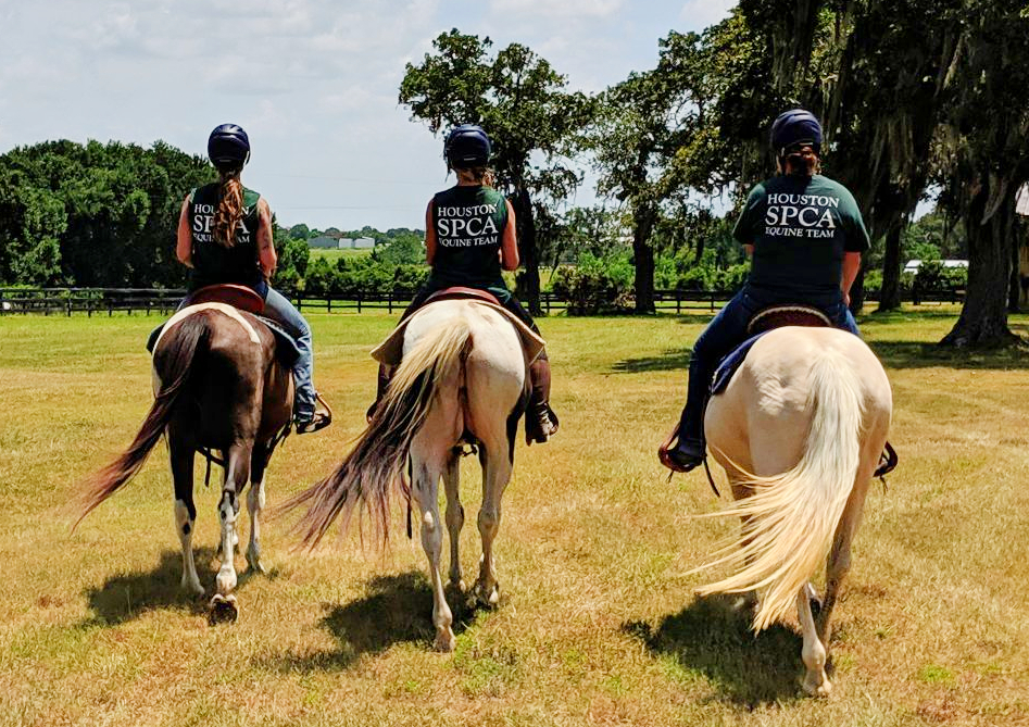 Riders on Horseback