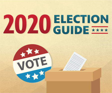 2020 election guide