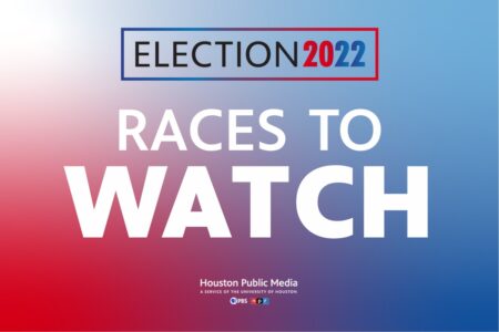 2022 election texas harris county